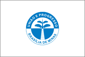 Bandeira de Brasília de Minas