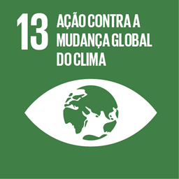 Ícone ODS 13